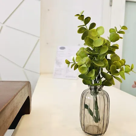 Guest house Rossio 3*